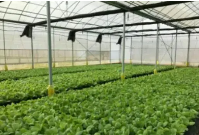 1766718648632581.png image.png