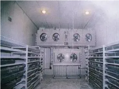 1767670539430577.png image.png